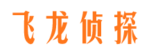 盐湖侦探